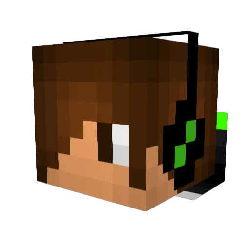 Nikip02 Minecraft avatar head, 3D render