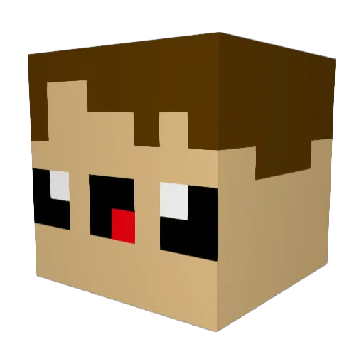 Nikipedia_at Minecraft avatar head, 3D render