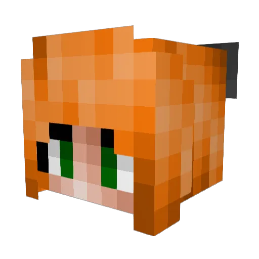 Nikita0325 Minecraft avatar head, 3D render