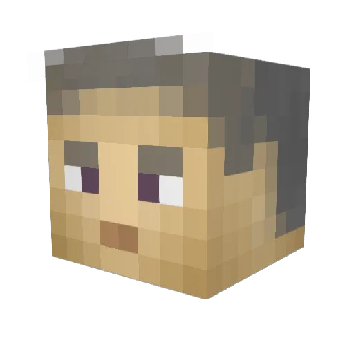 Nikita14 Minecraft avatar head, 3D render