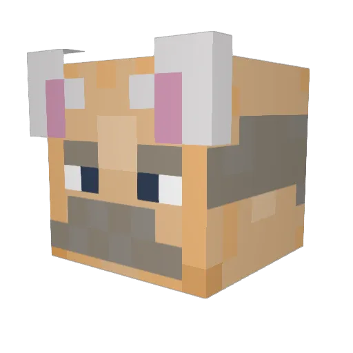 NikitaBeatrix Minecraft avatar head, 3D render