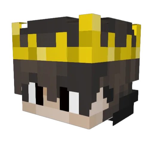 NikitaILyinPRO Minecraft avatar head, 3D render