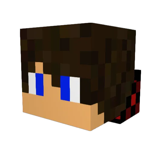 Nikitaoos Minecraft avatar head, 3D render