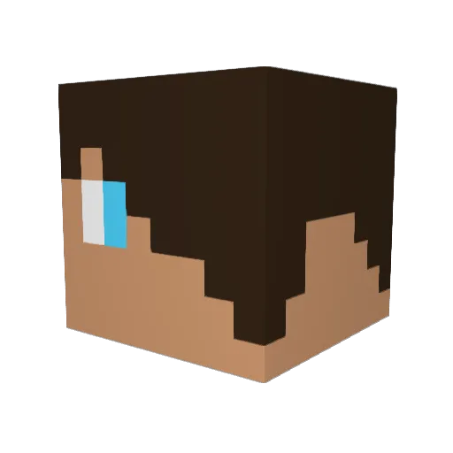 Nikitemon Minecraft avatar head, 3D render