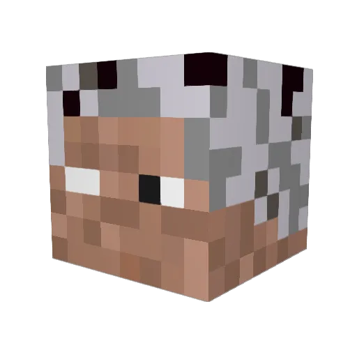 Nikizzz143 Minecraft avatar head, 3D render