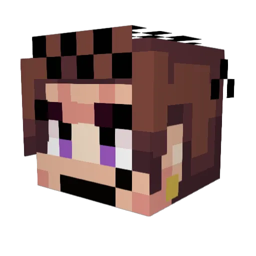 Nikk000 Minecraft avatar head, 3D render