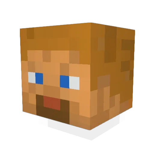 Nikki311_xXx Minecraft avatar head, 3D render
