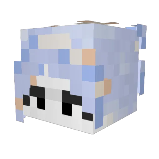 NikkiFungi Minecraft avatar head, 3D render