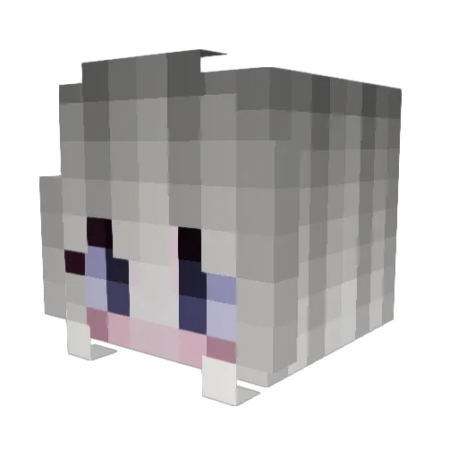 NikkiLover69 Minecraft avatar head, 3D render