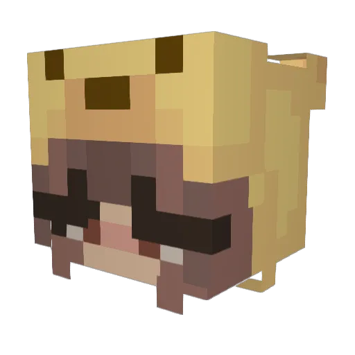 NikkiPOPExtream Minecraft avatar head, 3D render