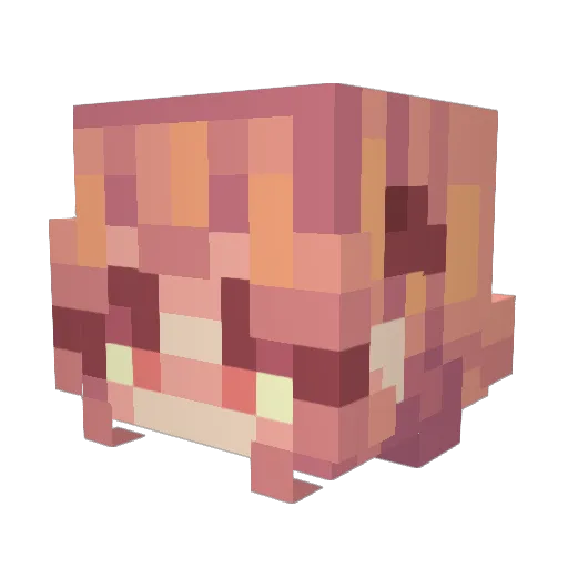 NikkiQuenn Minecraft avatar head, 3D render