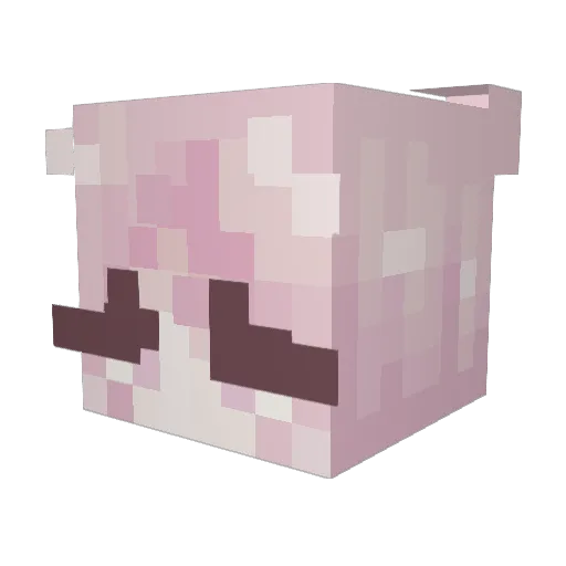 Nikki_0415 Minecraft avatar head, 3D render
