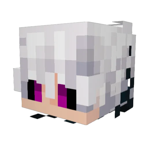 Nikki_Bunny Minecraft avatar head, 3D render