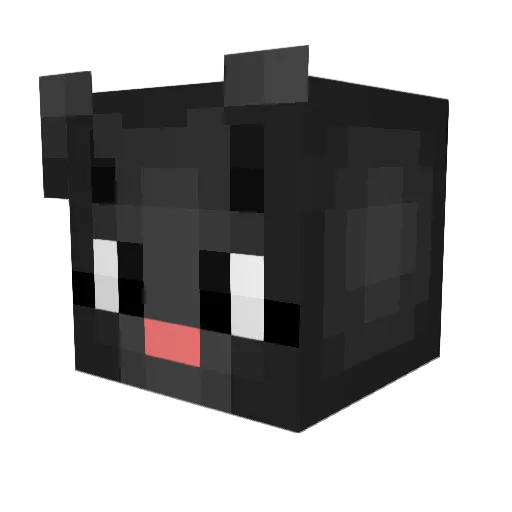 Nikki_Knack Minecraft avatar head, 3D render