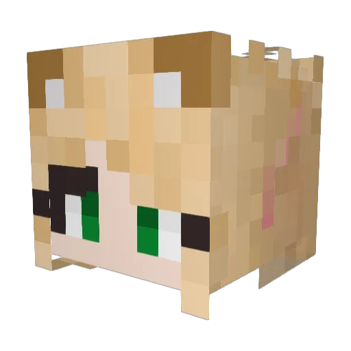 Nikki_exe Minecraft avatar head, 3D render