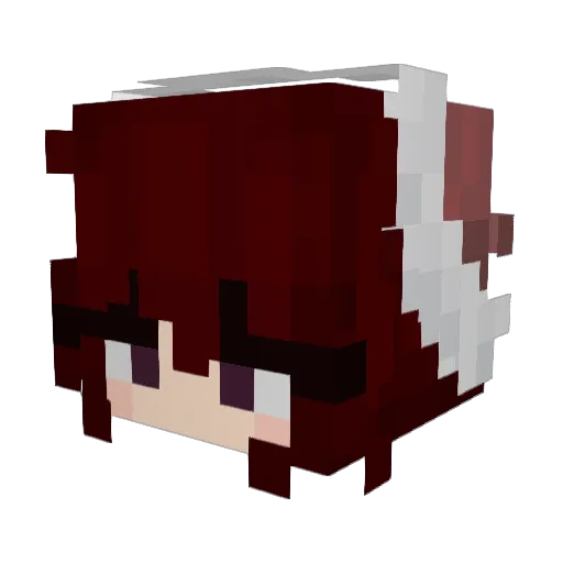 Nikkie99 Minecraft avatar head, 3D render