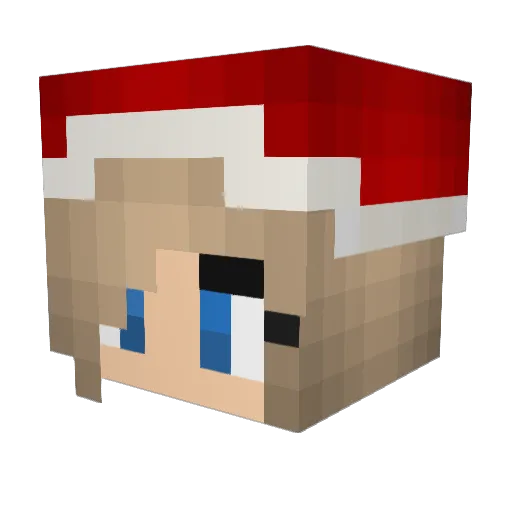 Nikkigymnast9 Minecraft avatar head, 3D render
