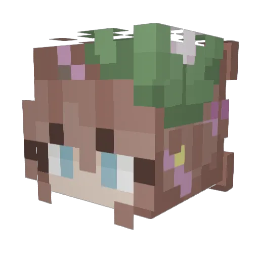 NikkiiPlays Minecraft avatar head, 3D render