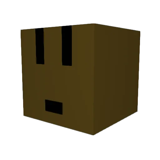Nikkiminer Minecraft avatar head, 3D render