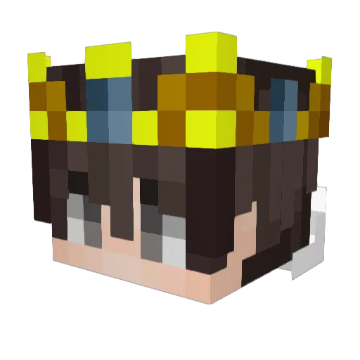 NikkinPoo Minecraft avatar head, 3D render