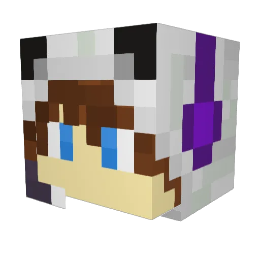 Nikkininja14 Minecraft avatar head, 3D render