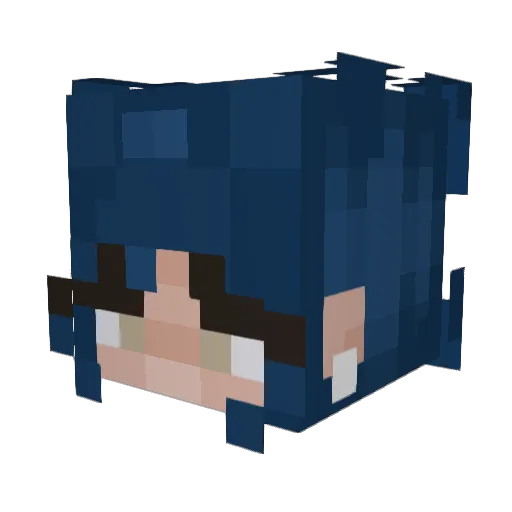 Nikkio2936 Minecraft avatar head, 3D render