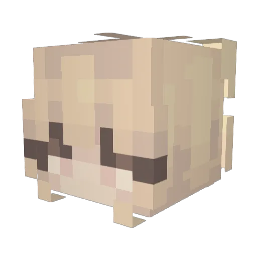Nikkiools Minecraft avatar head, 3D render