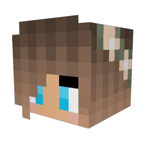 Nikkola_d Minecraft avatar head, 3D render