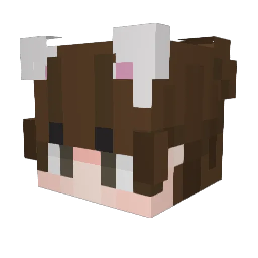Nikksenpai Minecraft avatar head, 3D render