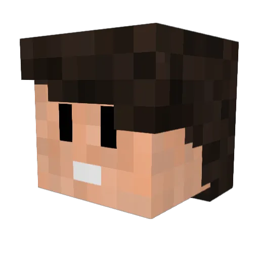 Nikl01as Minecraft avatar head, 3D render