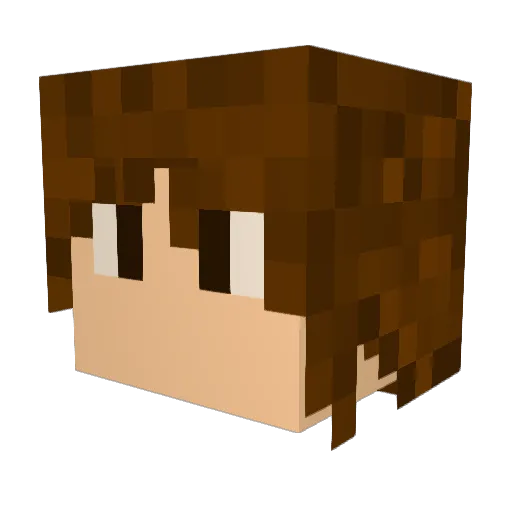 Niklas1313 Minecraft avatar head, 3D render