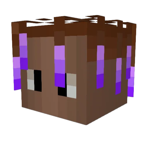 Niklas203 Minecraft avatar head, 3D render