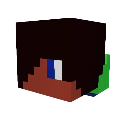 Niklas2105 Minecraft avatar head, 3D render