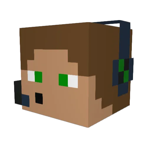 Niklas2405 Minecraft avatar head, 3D render