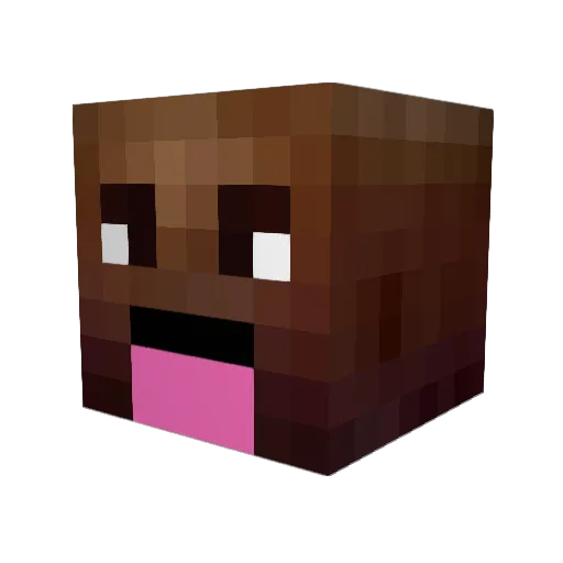 Niklas357 Minecraft avatar head, 3D render