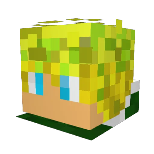 Niklas424 Minecraft avatar head, 3D render