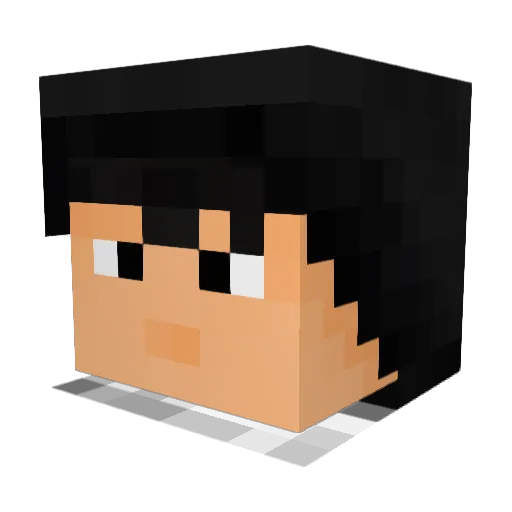 Niklas4G Minecraft avatar head, 3D render
