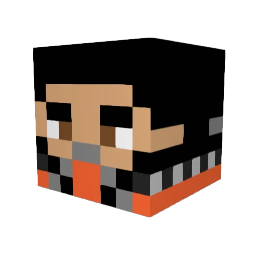NiklasBlocks Minecraft avatar head, 3D render