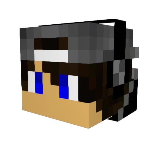 NiklasR2001 Minecraft avatar head, 3D render