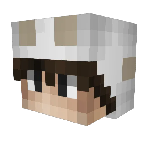 NiklasTKYO Minecraft avatar head, 3D render