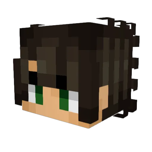 Niklas_dk Minecraft avatar head, 3D render