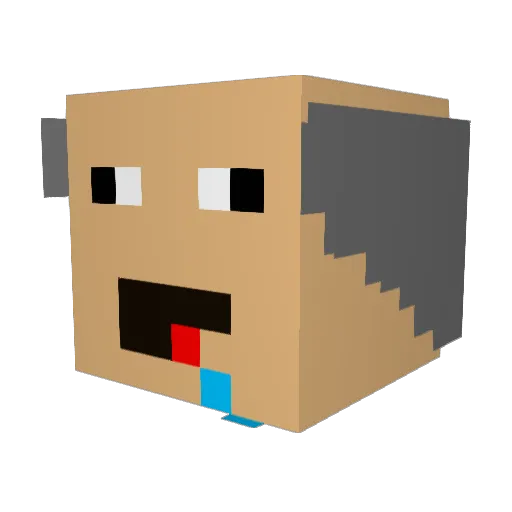 Nikle Minecraft avatar head, 3D render