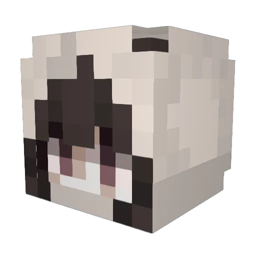Nikllexx Minecraft avatar head, 3D render