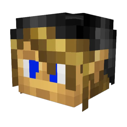 NiklzNDimz Minecraft avatar head, 3D render