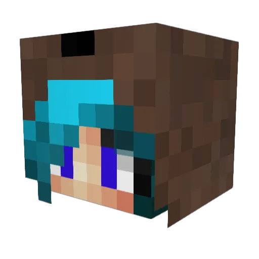 Niknak121 Minecraft avatar head, 3D render