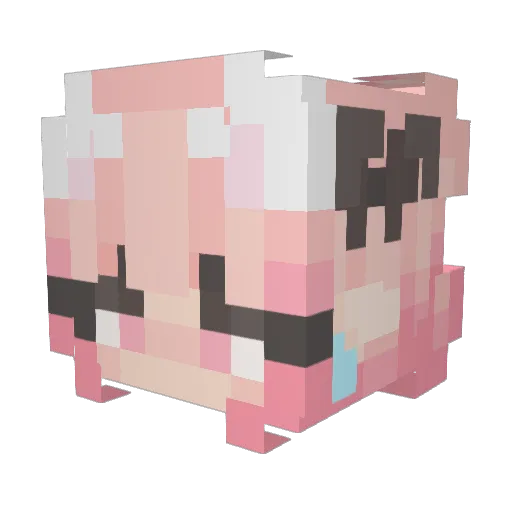 Niknoct Minecraft avatar head, 3D render
