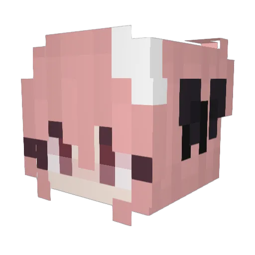 NiknokB Minecraft avatar head, 3D render