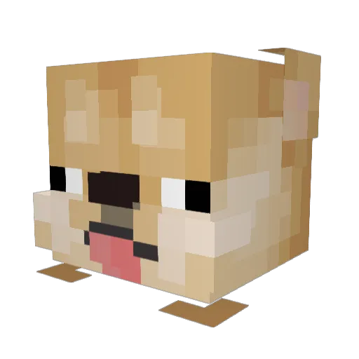 Niko0712 Minecraft avatar head, 3D render