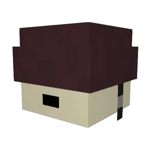 NikoAmari Minecraft avatar head, 3D render