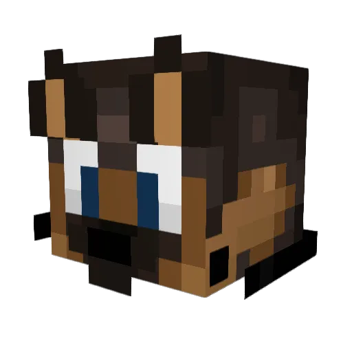 NikoDraws Minecraft avatar head, 3D render